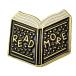 значок *книга@ более прочитав английский язык * Франция ограничение булавка z* редкость . Vintage было использовано булавка bachi
