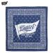 * бесплатная доставка сервис средний!! EVILACT(i-bruakto) FLAG BANDANA