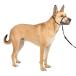 PetSafe( домашнее животное safe )jentoru Leader .. обивка предотвращение head цвет собака для прогулка тренировка черный M размер 