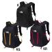  The * North * лицо THE NORTH FACE одиночный Schott рюкзак сумка Day Pack 20L 25SS(NM72303)