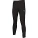 PUMA Puma INDIVICUP TR брюки футбол тренировочные штаны мужской 660486-07
