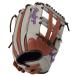 ���[�����O�X Rawlings �\�t�g HOH DP �J���[�Y S65GF BR/GRY ���f�B�[�X�\�t�g�p�O���[�u �I�[�����E���h�p 26FW GS6FHDS65GF