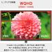 PXC278 Wave �Q�[�~���O���j�^�[ 27�C���` WQHD 180Hz Fast VA �p�� �f�B�X�v���C �z���C�g �� �u���b�N �� Pixio �֘A�摜4