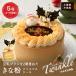 クリスマスケーキ（5号）Twinkle〜豆乳プリンを2層重ねたきな粉クリスマスケーキ〜(5号 4人 グルテンフリー 小麦粉不使用 米粉 きな粉 予約 2019 京都)