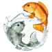 ե Swarovski DOUBLE CARPS 5376621