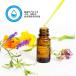 �X�|�C�g ��� 100�{�Z�b�g 2ml �s�y�b�g �g���̂� �|���X�|�C�g �v���X�`�b�N�� ���ϕi������ �Ȋw�����p ���������� �֘A�摜3