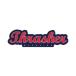  Thrasher THRASHER стикер модный american симпатичный скейтборд Street бренд машина мотоцикл OVAL SCRIPT