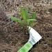 Garden Helper. вытащенный резчик KP-3 прополка .... брать ... вытащенный серп серп кама газонная трава сырой . покупка 