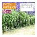  железный Mini забор ( leaf ) 10 листов комплект IPN-7238TG-10P