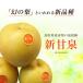  груша новый . Izumi ...... Tottori префектура восток . превосходящий товар 5kg 3L(14 шар ) бесплатная доставка .. для . предмет для фрукты 2 10 век груша Chikushi Blend новый товар вид 