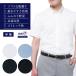 shirt men's standard type SHIRT-T button down P15S1SI03