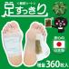 ������������t�V�[�g360���i������j����180�񕪁@�����@���t�V�[�g�@�f�g�b�N�X�@�����N�[�[�V�����@�ނ��݃P�A�@