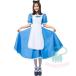  для взрослых костюм женский длинный рукав длинный Alice meido женщина . маскарадный костюм костюмированная игра женский девушки Halo we n костюм автомобиль Classic костюм 