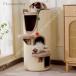  кошка house башня для кошки стиль домашнее животное house кошка bed салон кошка маленький магазин .. дом кошка tower sinia. кошка кошка. развлечение место 