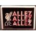 liba бассейн значок (Allez Allez Allez) официальный 