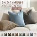 �N�b�V�����J�o�[  ���炳�� �W���K�[�h�D �J�o�[�̂� 45�~45cm �S9�F �`�F�b�N �i�q �V���v�� �k�� �i�`������ ������� �C���e���A �ʋC�� �x�b�h ������