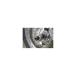 BABYFACE( baby лицо ) axle протектор передний CB1100 CBR650R CB650R 006-AH015BK