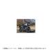  Schic дизайн gaila gun to let Scrambler Scrambler Sixty2 прозрачный 