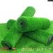 pltstore искусственный газон roll 1m×5m/10m искусственный газон сырой искусственный газон коврик газонная трава коврик высокая прочность газонная трава сырой .. газонная трава roll цвет весна осень цвет UV cut двор садоводство веранда te