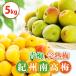 .. слива * синий слива 5kg.. юг высота слива . раз * количество * шарик размер также можно выбрать бесплатная доставка ( часть отдельный ) слива сироп слива сок сливовое вино маринованные сливы . слива джем 