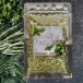 56.Cooking Herb mix кулинария трава Mix 50g сохранение стоимость без добавок трава специя трава соль приправа душистые травы приправа универсальный приправа мясная кулинария трава Mix трава 