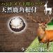  олень. угол ручная работа для детали netsuke (L размер ) Random 3 шт упаковка олень угол натуральный материалы 