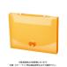 se регулирование plain g2 way кейс orange AP-952-51 orange 