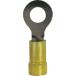 ȥ󥰥ۡ ӥˡʤհü(ݷ) :AWG1210/3.55.5sq եͥ:M10 25 EV10-38RB-Q