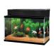 �W�F�b�N�X GEX AQUARIUM �K���X �}���[�i600BKS �f���A���N���[���Z�b�g �T�J�i�p