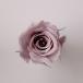[ консервированный цветок материалы для цветочной композиции материал ] rose *...* Misty - rose * большой земля сельское хозяйство .(9 колесо входить )