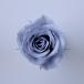 [ консервированный цветок материалы для цветочной композиции материал ] rose *...*das чай голубой * большой земля сельское хозяйство .(9 колесо входить )