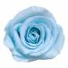  консервированный цветок * пудра голубой * спрей rose 