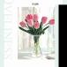 �t�����[���C���[ ���ԗp�̌s 10�{�Z�b�g 40cm ����2mm �t�����[ �N���t�g ��| DIY�p �Ԍ|�f�� �Ȃ��\ �l�H�Ԍs ����L�b�g ���� �֘A�摜3