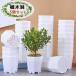  цветочный горшок 5 шт. комплект Mini размер цветок pot меньше осушитель дыра легкий простой декоративное растение суккулентное растение садоводство сопутствующие товары садоводство рассада белый 