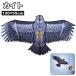  кайт кайт кайт .. одиночный кайт Eagle кайт ястреб . симпатичный .... птица .. птица исключая . спорт игрушка 