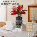  цветочный горшок цветок pot гидропонная культура автоматика водоснабжение полив простой посадочная машина декоративное растение суккулентное растение цветок подставка садоводство принадлежности для садоводства закрытый простой возможно love 