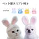  для домашних животных костюмированная игра шляпа кошка для шляпа собака для шляпа ... предмет товары для домашних животных заяц ..... уголок костюмированная игра маскарадный костюм Event party фотография фотосъемка кошка собака ..