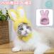  для домашних животных шляпа костюмированная игра кошка для собака для маленький размер собака ... предмет товары для домашних животных .. уголок ... заяц . домашнее животное товары голова ширина колпак модный симпатичный Uni -