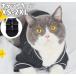  кошка одежда домашнее животное одежда пижама кошка для кошка. одежда салон одежда tops рубашка одноцветный рукав есть воротник имеется передний кнопка симпатичный товары для домашних животных передний открытие .