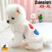  домашнее животное одежда лучший боа жакет собака кошка собака одежда кошка одежда выше like Heart радуга защищающий от холода осень-зима ..... прогулка .... передний открытие sna