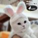  для домашних животных костюмированная игра шляпа для домашних животных костюмированная игра мелкие вещи для домашних животных головной убор кошка кошка маленький размер собака собака мелкие животные для домашнее животное товары товары для домашних животных .. уголок usa уголок заяц . перемещение 
