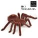  товары для вечеринок радиоконтроллер .. Spider ta ланч .la двигаться игрушка баловство товары Halloween товары Event товары do сверло баловство Joe 