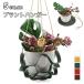  план to вешалка подвешивание ниже искусственная кожа диаметр 31cm 22cm интерьер смешанные товары рукоятка King посадочная машина горшок цветочный горшок декоративное растение натуральный шнур трос 