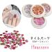  Nailparts 50 деталь комплект с футляром женский женщина мода смешанные товары ногти сопутствующие товары ногти товары цветок цветок роза роза Sakura Sakura лист ..