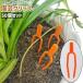 ���|�N���b�v 50�Z�b�g 50���� �K�[�f���N���b�v �A���T�|�[�g�N���b�v �v�����g�N���b�v �V���v�� ���| �K�[�f�j���O �A�� �A�� �T�|�[�g