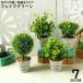  искусственная зелень человеческий труд декоративное растение искусственный цветок зеленый растение в горшке .. нет интерьер украшение настоящий Home сад настольный веранда туалет окно .