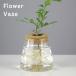  ваза цветок бутылка цветок основа ваза для цветов оборудование орнамент один колесо .. пробка крышка настольный класть type стеклянный прозрачный каркас предметы интерьера смешанные товары прозрачный вмятина выпуклость треугольник треугольник 