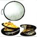 ���t�� ���a60cm �B�e�p �ی^ �~�` �܂肽���݉\ �R���p�N�g ���^ �����^�ѕ֗� ���o�[�V�u�� ��F ���F ���F ���˔� ��� ���邳���� �X �֘A�摜5
