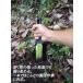 �R�� (���}�J�^�i) No.800 �m�� �tYD �֘A�摜2
