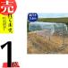 1.9�~3.6m �g�����񂽂�J�悯�Z�b�g���C�h ���r�j�[�� ��B DZ